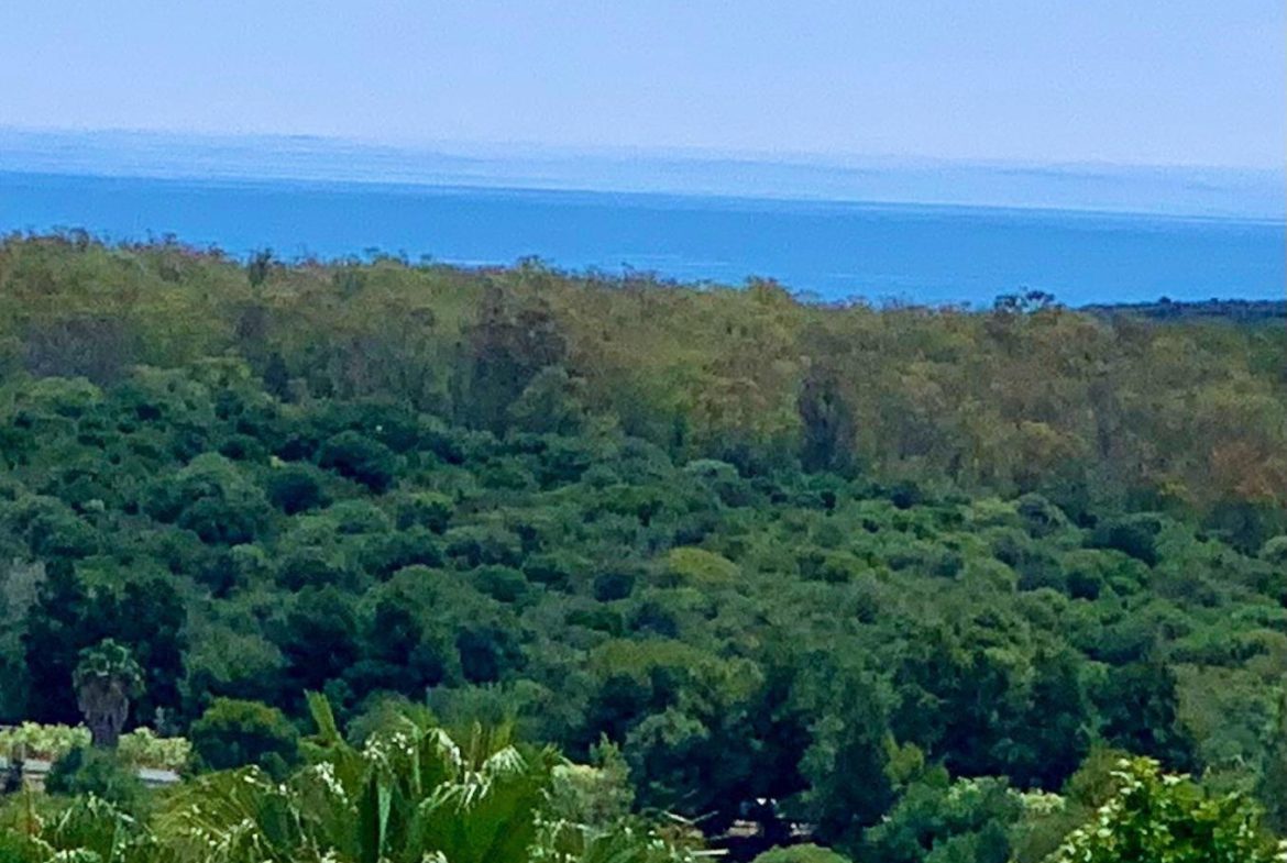 Panoramic landscape views from San Roque Club residential area in Sotogrande.