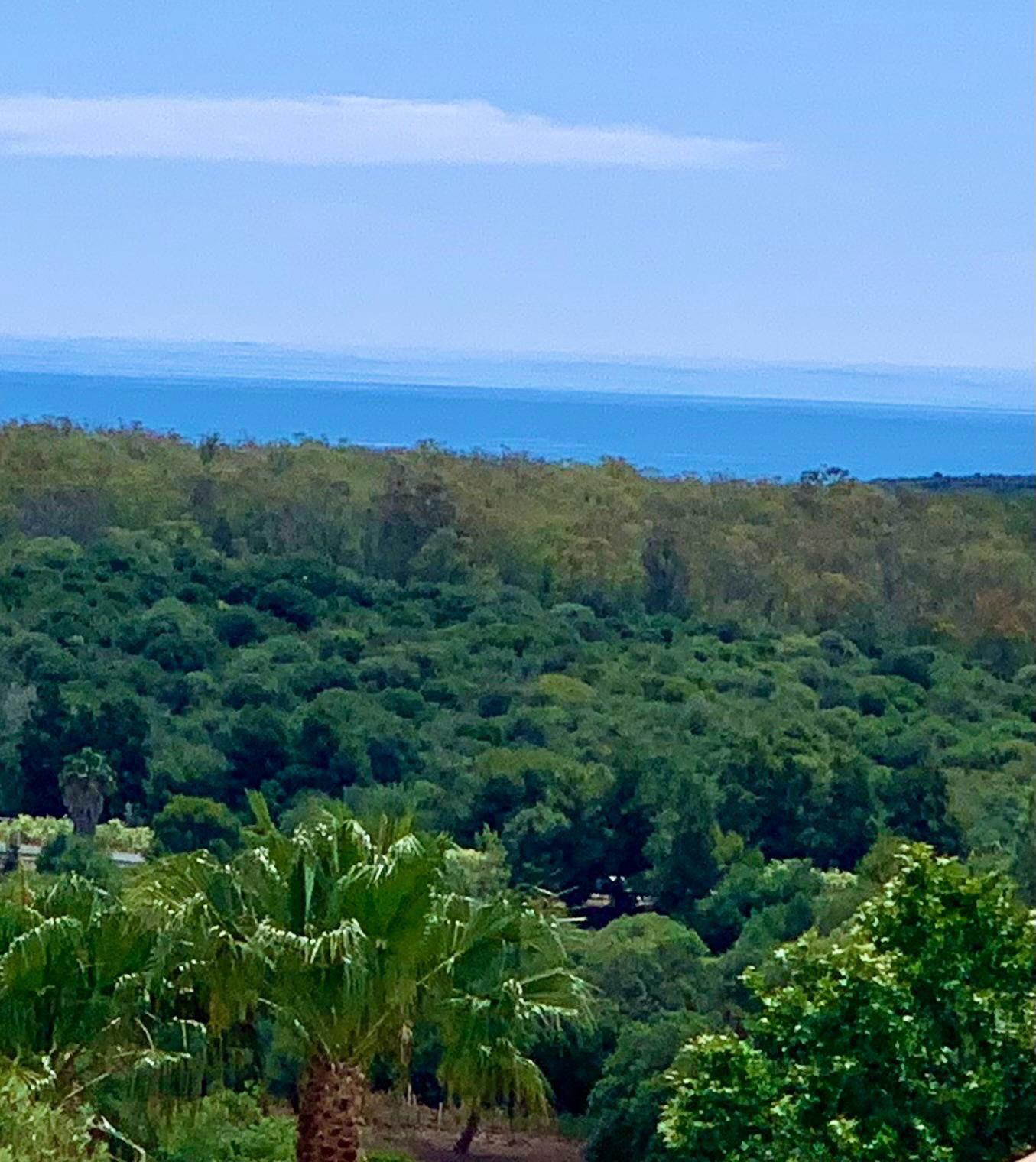 Panoramic landscape views from San Roque Club residential area in Sotogrande.